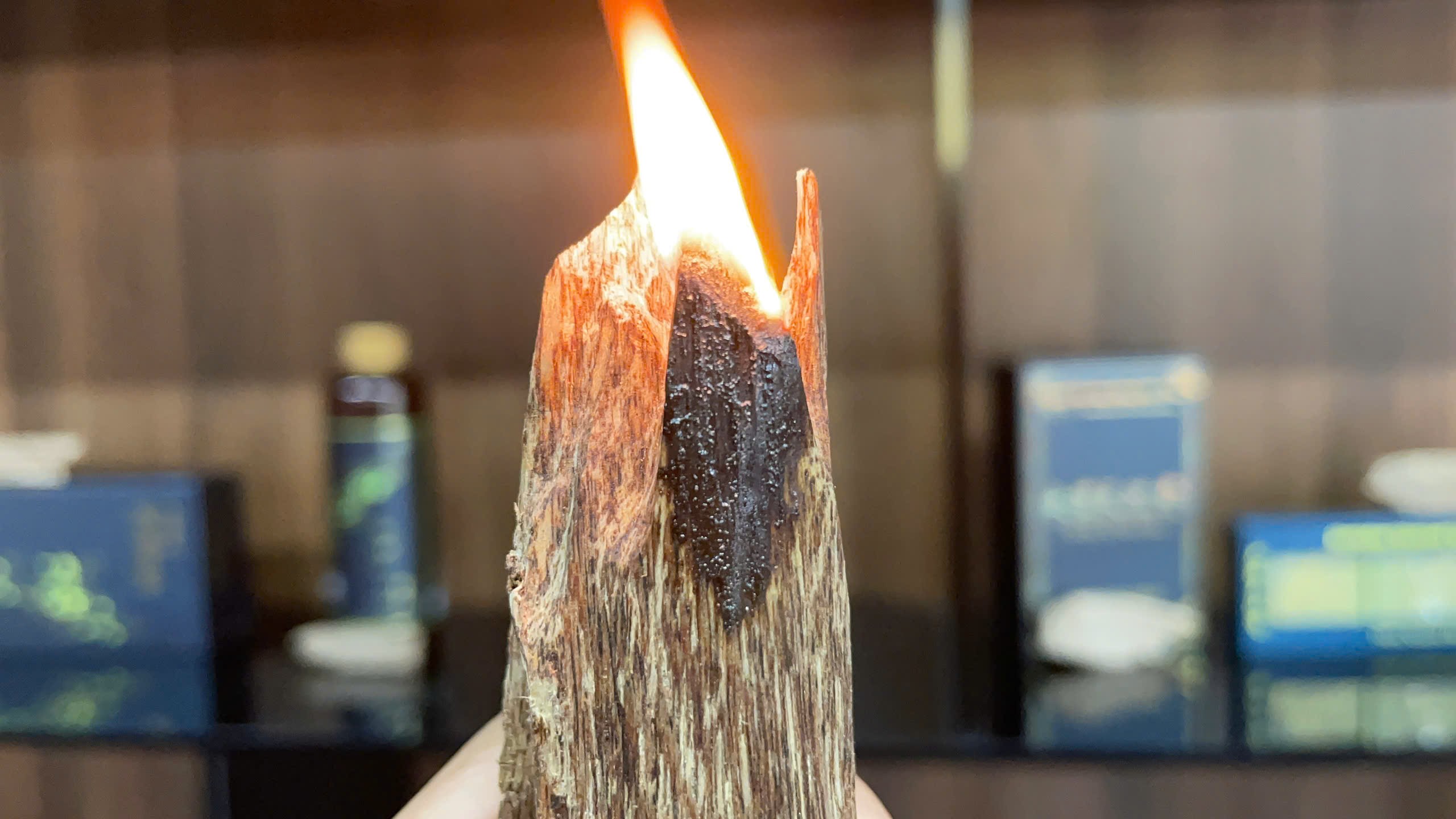 침향 오일, 불면·우울·불안한 마음도 달랠 수 있을까?
